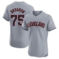 C.Guardians #75 Connor Brogdon Player Gray Road Limited Elite Home Hdoa Stitched Jerseys