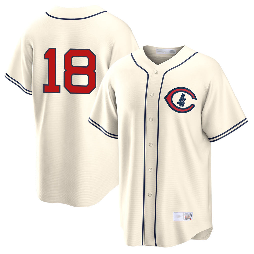 C.Cubs #18 Shota Imanaga Player Cream Field of Dreams Home Game Hdoa Stitched Jerseys