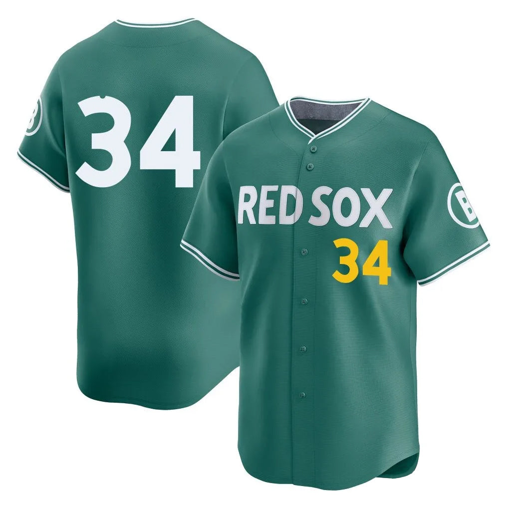 B.Red Sox #34 David Ortiz Player Green City Connect Limited Home Game Hdoa Stitched Jerseys